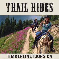 timblerline tours